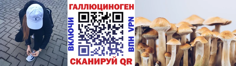 Галлюциногенные грибы Psilocybe  Микунь 